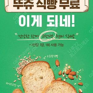 에이닷 고단백 현미식빵 2장