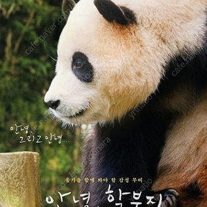 안녕할부지 CGV 관람권 예매권 2인일괄