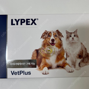 라이펙스 췌장 효소 (Lypex Capsules) 고양이,강아지 용 판매 합니다 (2알 사용)