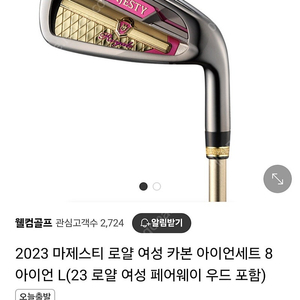 마제스티 2023 여성아이언