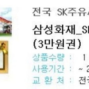 Sk 주유소 주유권 3만원