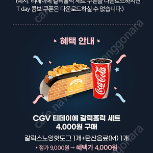 T데이 갈릭홀릭 세트 3000원에 판매합니다