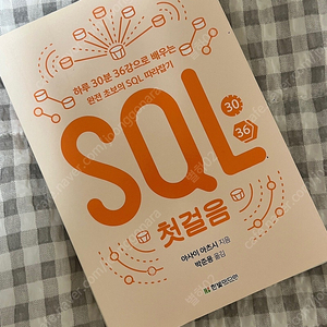 SQL 첫걸음 새 책