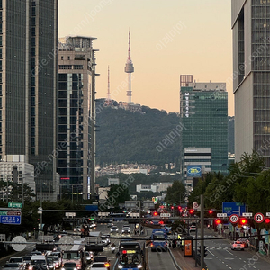 문동주 골드 글러브 구매