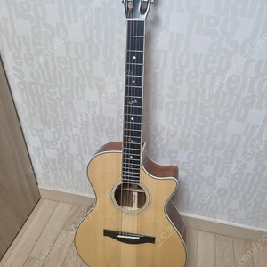 이스트만 AC308ce