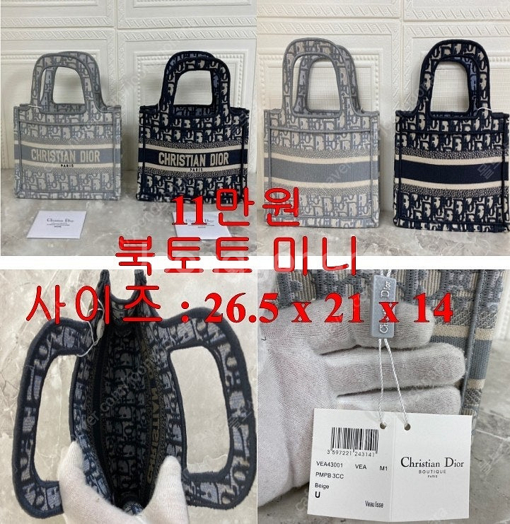 디올 북토트 미니백--0