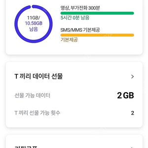 skt데이터2기가