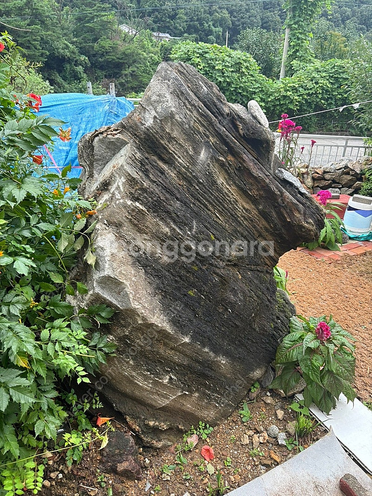 조경석 조경돌 정원돌 입구돌 판매 합니다--1