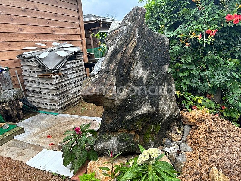 조경석 조경돌 정원돌 입구돌 판매 합니다--0