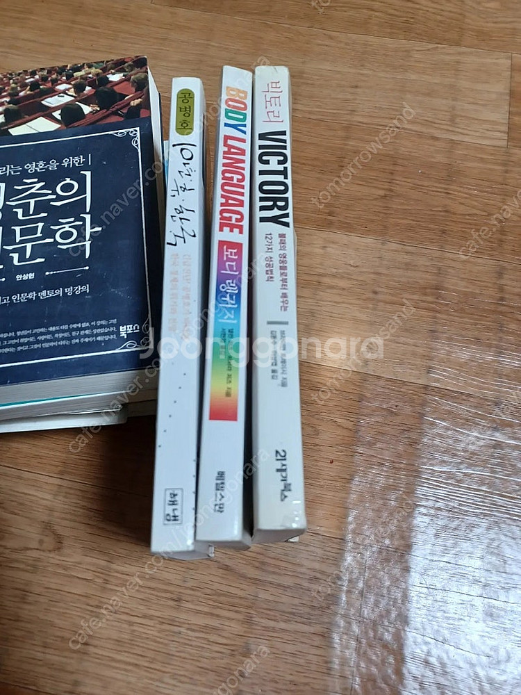 소설책 서바이브-알렉스모렐,해피eye해피talk,보디랭...--4