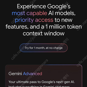 Gemini Advanced 1개월 사용