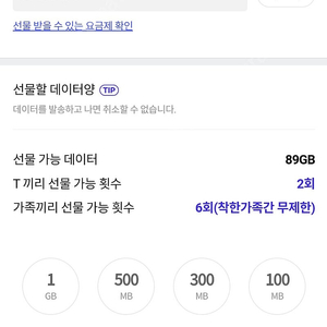 skt데이터 1기가