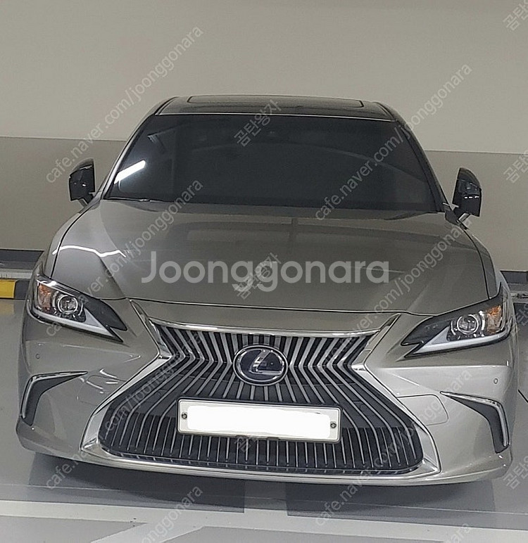 렉서스 ES300h 7세대 그릴--0