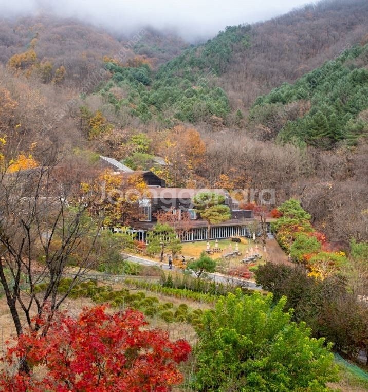 힐리언스 선마을 쉼스테이 스위트(4인1실 2식) 숙박권...--4