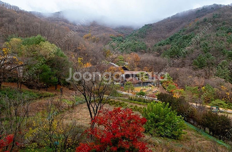 힐리언스 선마을 쉼스테이 스위트(4인1실 2식) 숙박권...--5
