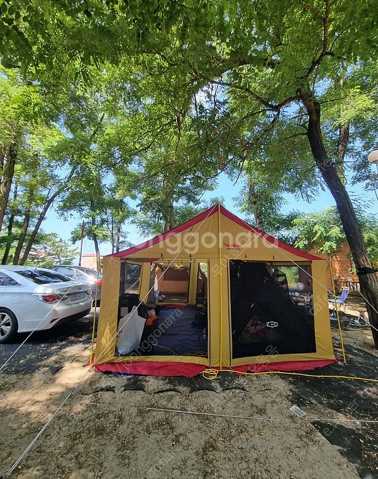 버팔로 뉴 갤럭시 타프 스크린 텐트 팔아요--0