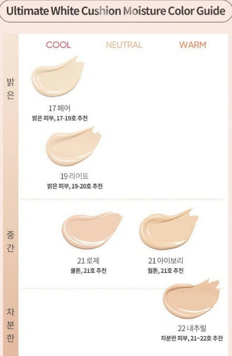 바닐라코 쿠션 모이스처 모이스쳐 19 라이트--5