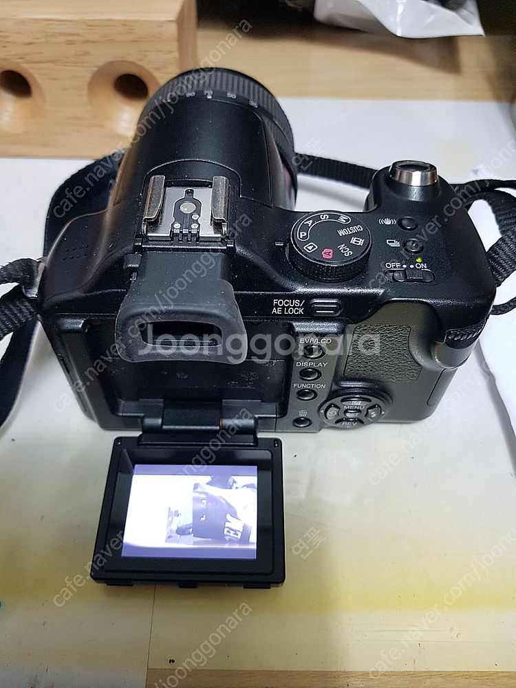 루믹스 DNC-FZ50 디지털 카메라--2