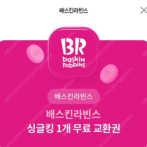 베스킨라빈스 싱글킹