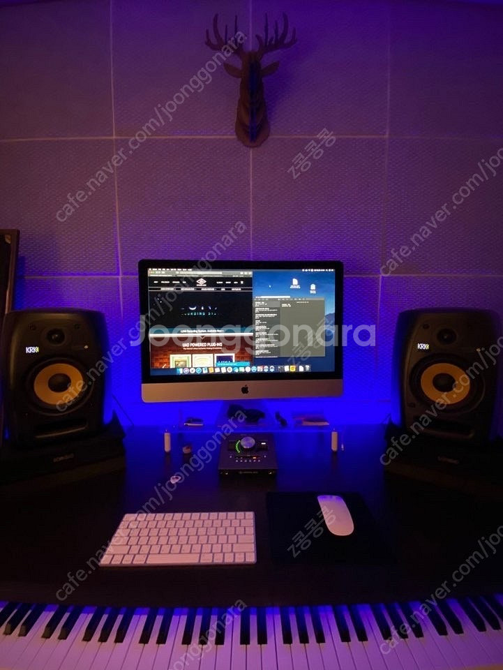 krk vxt6 스피커 판매합니다.--0