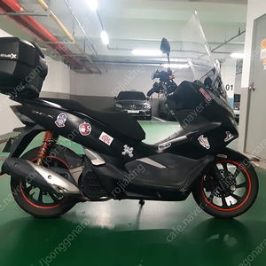 Pcx125 19년식