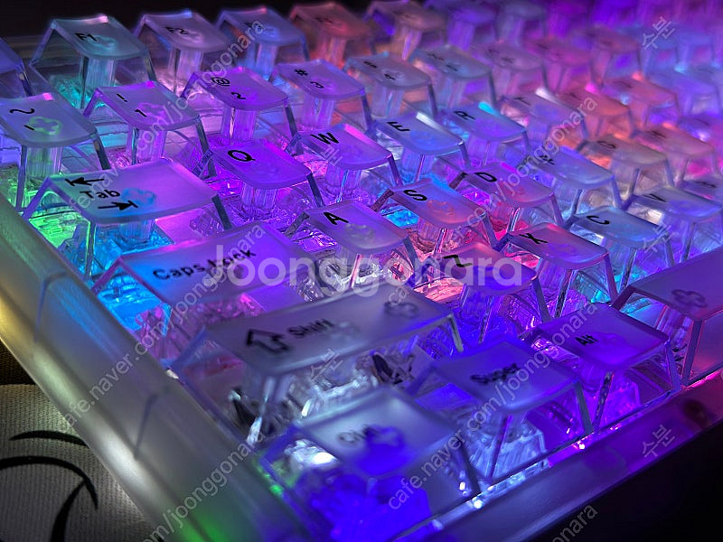 타이거 80 라이트 RGB 커스텀 투명 키보드--3
