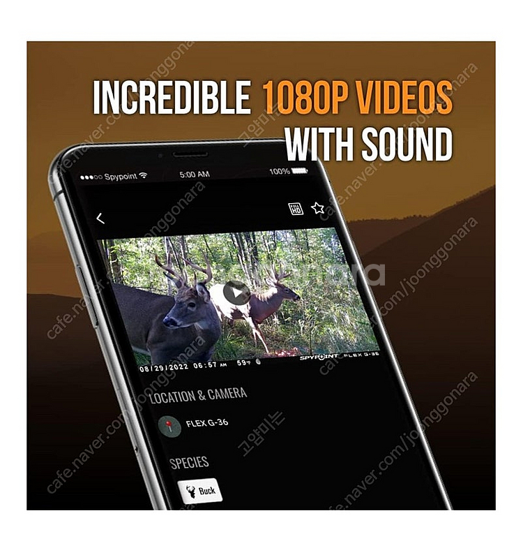 Spypoint 스파이포인트 g36셀룰러 적외선 무선 카메라--3