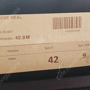 jose real 남자구두 (레드)