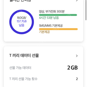 SK데이터 2기가