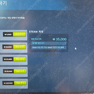 스팀 35000 선물하기로 75% 팔아요