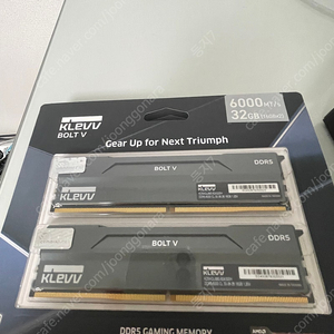 ESSENCORE KLEVV DDR5-6000 CL30 BOLT V 패키지 서린 (32GB(16Gx2)) 새제품