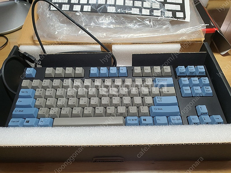 리얼포스 R2TLSA-KR3-BK-L 30g 텐키레스--0