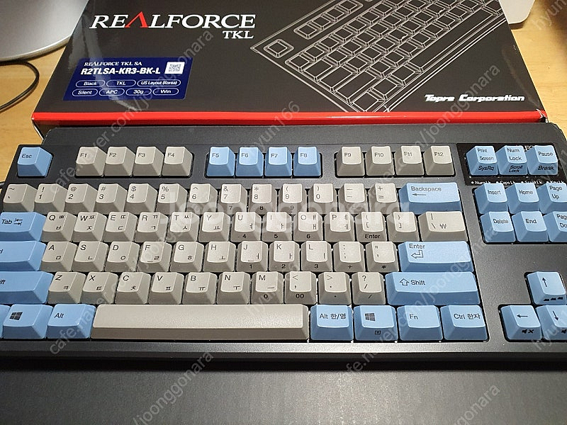 리얼포스 R2TLSA-KR3-BK-L 30g 텐키레스--2
