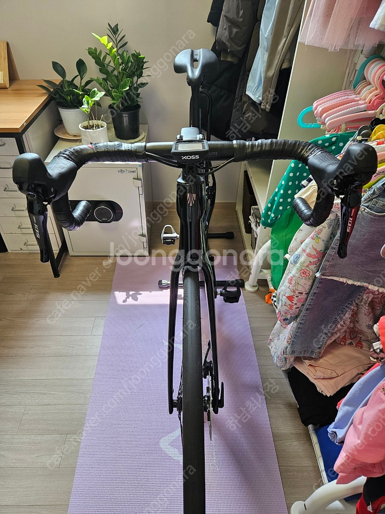 [로드자전거 풀셋] 트렉 도마니 SL5 4세대 54사이...--6