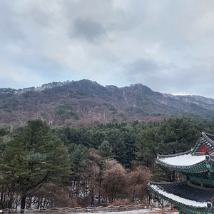 도서(교보문고 모든 종류) 구매 대행해드립니다.