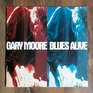 4. 라이센스 엘피 LP - Gary Moore - Blues Alive, 2 LPS (1993년/EMI 계몽사)