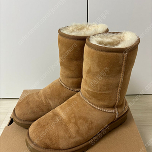 미국 어그 ugg 클래식숏2 240