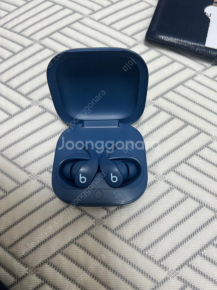 비츠 핏 프로--1