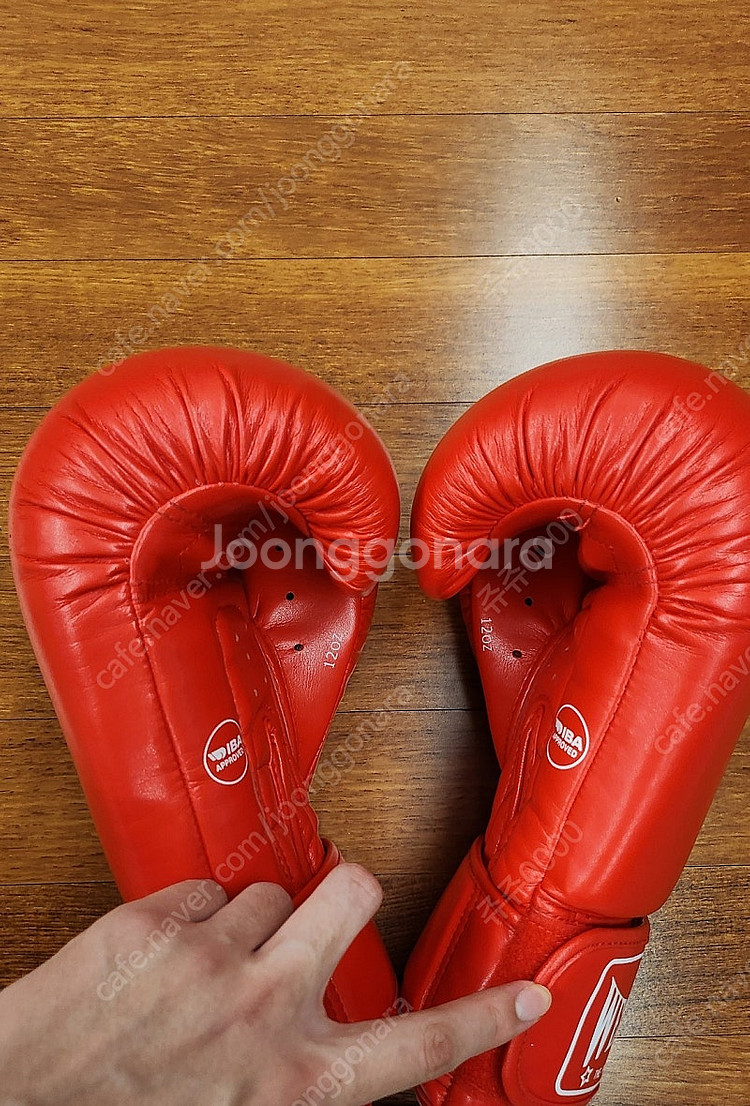 위싱 아이바 12oz 복싱 글러브--3