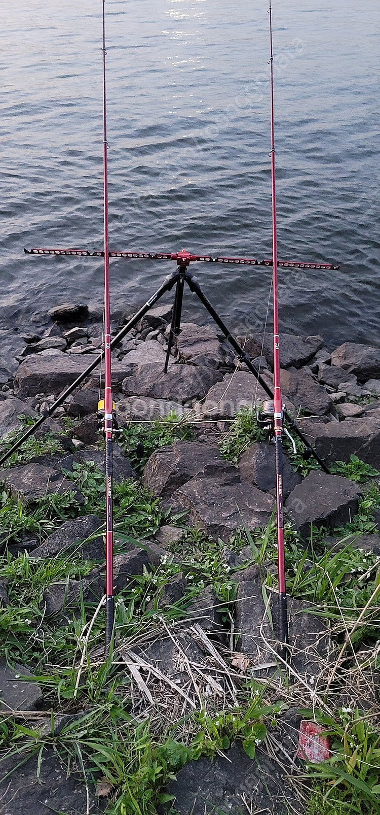 토너먼트t30-425 보증서구합니다--0