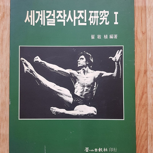 최민식작가님 사진집 세계걸작사진 연구 판매합니다