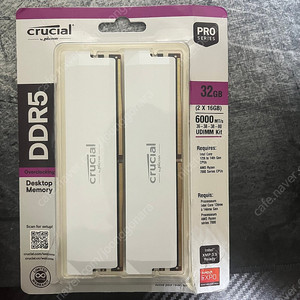 크루셜 프로 DDR5 RAM 32GB 키트 (2x16GB) CL36 6000MHz 화이트