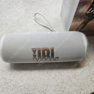 JBL flip6