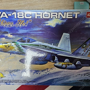 F/A-18C 호넷 치피호