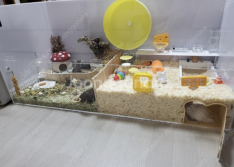 햄스터 아크릴케이지 1200 + 햄스터용품--3