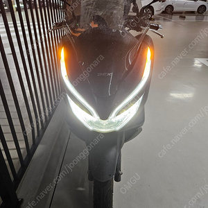 Pcx125 18년식(19년형) 18700km 팝니다