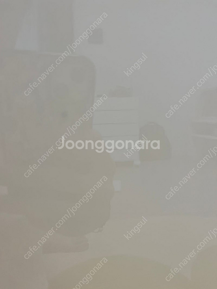 쥬다르 보드 L--2