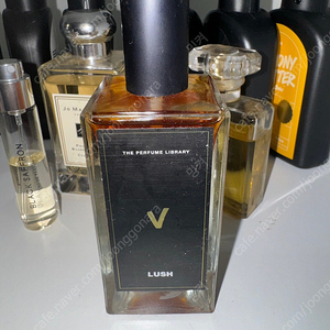 러쉬 v 100ml