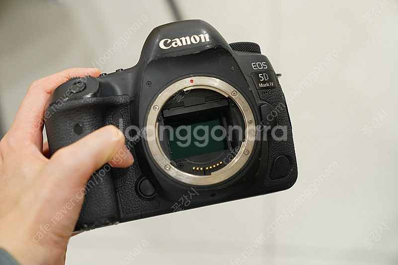 캐논 EOS 5DMARK4 오막포 판매합니다.--5
