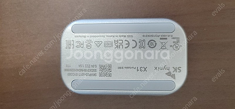 sk beetle x31--1